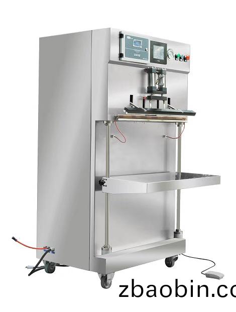 DBZ-600D袋式气调包(bao)装机