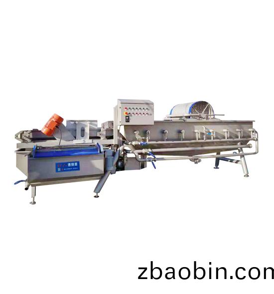 DXC-1000A水流式蔬菜清洗机