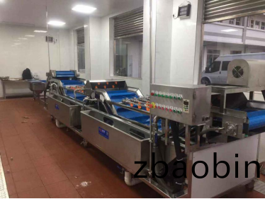 稚嫩的“蔬菜”用德赛斯洗菜机清洗不伤物(wu)料