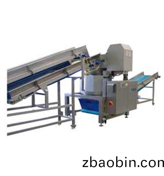 DTS-1000/2000连续蔬菜脱水机