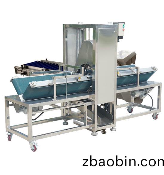 DXP-5T自动冬瓜削(xue)皮机