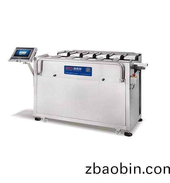 DCZ-312皮带组合秤