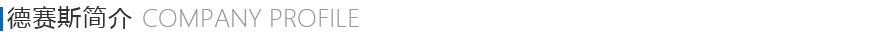 德赛(sai)斯简介