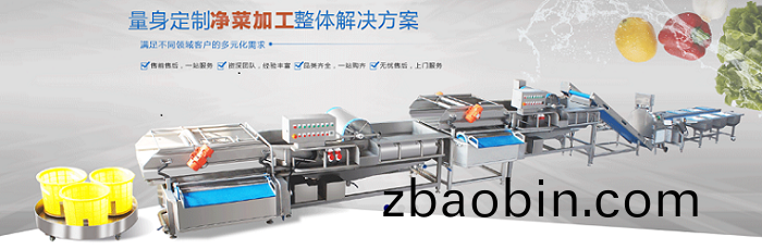净菜加(jia)工清洗线 净菜加工清洗线(xian)