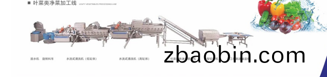 净菜加(jia)工(gong) 净菜加工