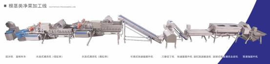 净(jing)菜加工 净菜加工