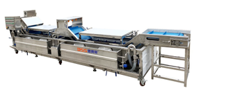 净(jing)菜加工(gong) 净菜加工