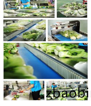 叶菜包装机