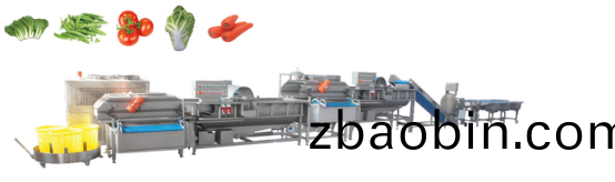 净菜(cai)加工设备 净菜加工(gong)设备