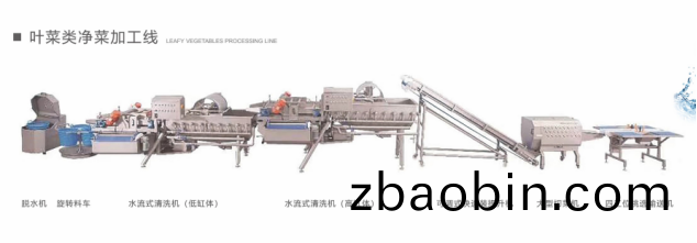 净菜加工 净菜加工